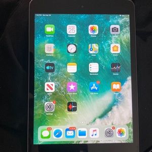 IPad Mini gen 5 256 g